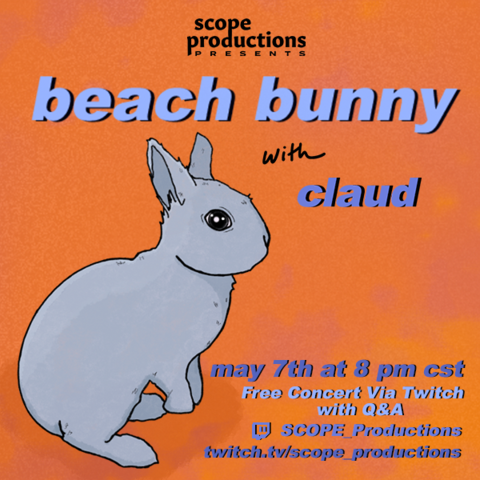 Beach Bunny flyer