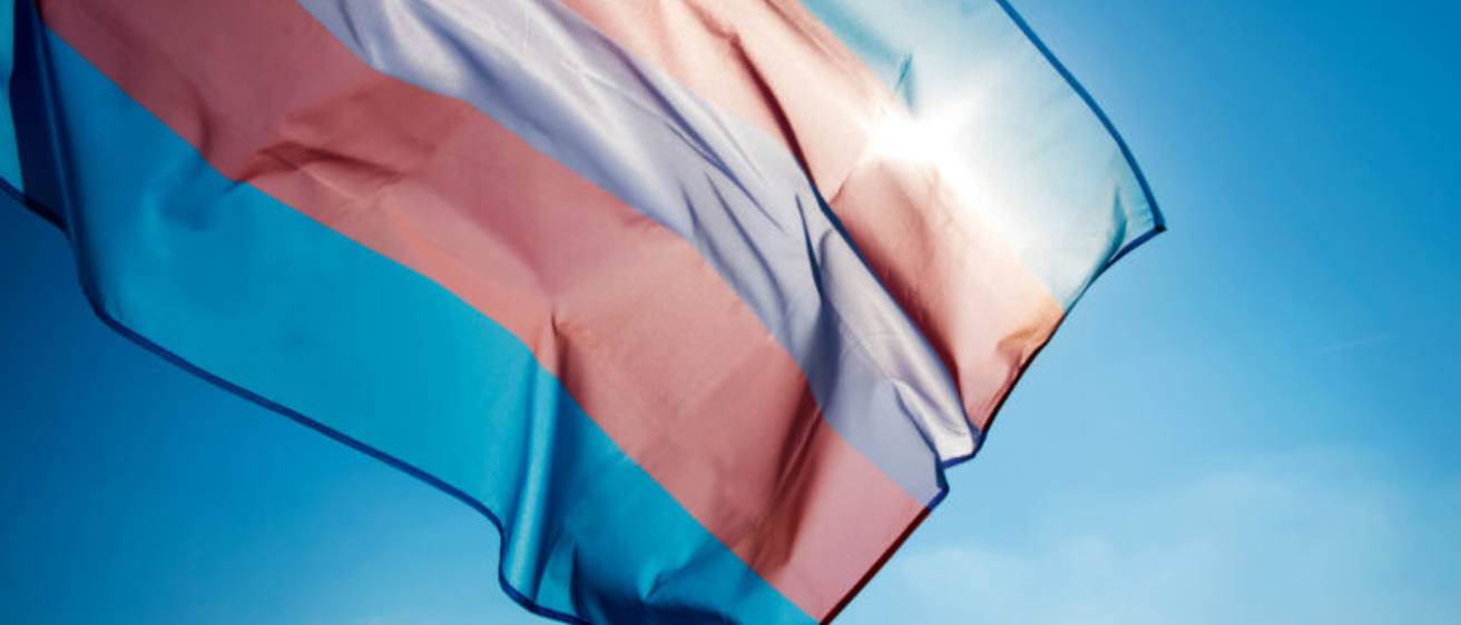 The Transgender Pride flag backlit by the sun
