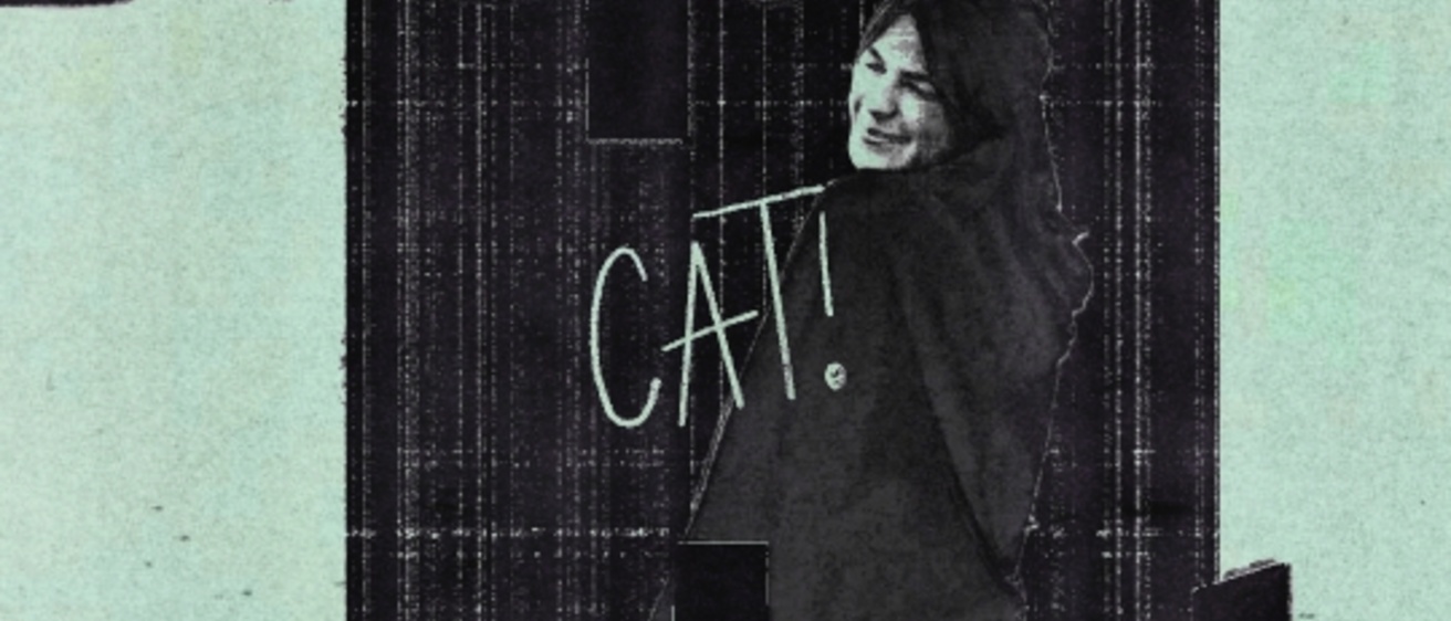 Cat Scope Selects Graphic