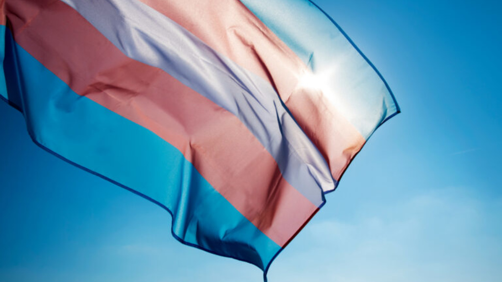 The Transgender Pride flag backlit by the sun